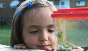 Ученые поддержали флэшмобом 8-летнюю девочку, которую травили за любовь к жукам
