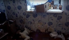 На Закарпатье полиция расследует смерть двухлетнего мальчика от голода