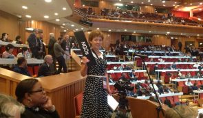 У ЮНЕСКО заслухали борців проти незаконної забудови у Києві і пообіцяли допомогу