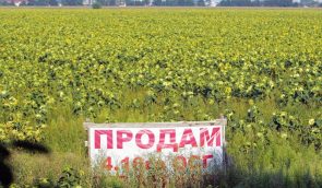 Україна може отримати мільйони скарг до ЄСПЛ через мораторій на землю