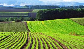 У команді Зеленського очікують, що суспільство обговорить модель земельної реформи до кінця серпня