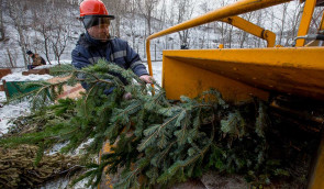 У Києві відкрили 15 пунктів для екологічної утилізації новорічних ялинок