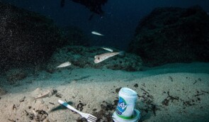 Науковці розповіли, що дно Світового океану всіяно більш ніж 14 млн тонн пластику