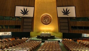 ООН вилучила медичний канабіс зі списку небезпечних наркотиків