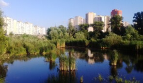 Озеро Качине в Києві, захисники якого домоглися зупинення там будівництва, знову планують забудувати