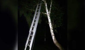 На Львівщині хлопчик заліз на дерево, рятуючись від цькувань