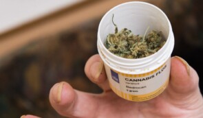 У Німеччині запустили державну торгівлю медичною марихуаною в аптеках