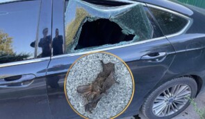 На Київщині пошкодили авто експерта Східної правозахисної групи й прикріпили на капот мертвого кажана