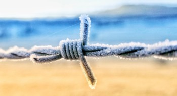 Відсидимо своє після перемоги: як українські в’язні хочуть боронити країну