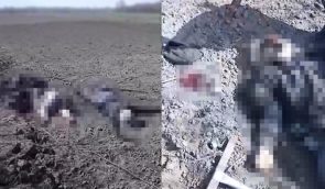 Внаслідок обстрілу села на Запоріжжі загинули підліток та двоє чоловіків