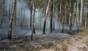 В лесу в Киевской области после отхода российских военных нашли тела повешенных девушек