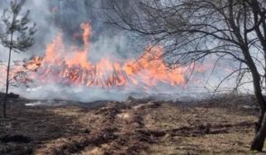 Пожежа на окупованому росіянами Джарилгачі знищила 16 кілометрів площі острова