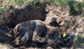 В Киевской области обнаружили тела еще трех гражданских жертв: военные РФ убили их выстрелами в голову