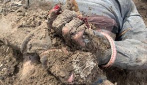 “Руки були зав’язані за спиною, а на тілах виявили вогнепальні поранення”: на Київщині знайшли нове поховання закатованих цивільних