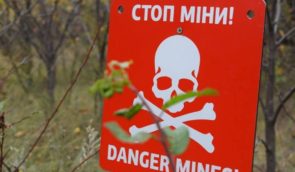 В Харьковской области 74-летний мужчина подорвался на мине
