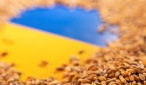 Росія скоює одразу три злочини, торгуючи викраденим в Україні зерном, – посол України в Туреччині
