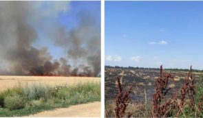 Росіяни спалили понад 230 гектарів пшениці на Херсонщині