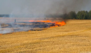 Російська агресія спричиняє багато пожеж у лісах та на пшеничних полях Херсонщини – ОК “Південь”