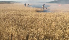 На Донеччині внаслідок обстрілу росіян згоріло 150 га пшениці