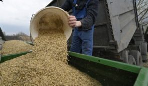 Росіяни на Херсонщині вводять перепустки для перевезення сільськогосподарської продукції