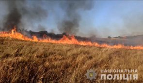 На Запоріжжі через обстріли з боку військових РФ згоріло понад 70 гектарів пшениці
