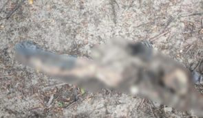 На Київщині виявили тіло ще одного вбитого окупантами мирного жителя