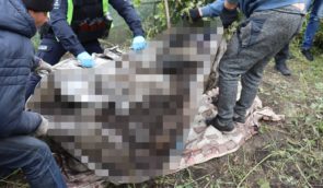 На звільнених територіях Харківщини знайшли тіла чотирьох цивільних громадян, яких убили окупанти