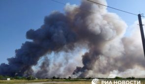 Из-за обстрелов военными РФ возник масштабный пожар в заповеднике Кинбурнская коса