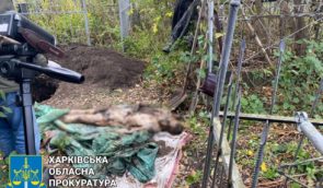 В Харьковской области правоохранители нашли тела двух замученных россиянами мужчин