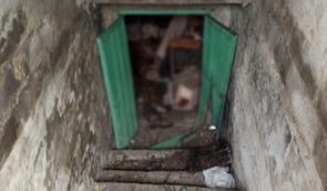 В освобожденном селе в Харьковской области в подвале обнаружили два мумифицированных тела