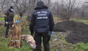 Під час ексгумації тіла в Куп’янську місто обстріляли росіяни: загинула жінка