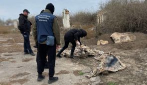 В Херсонской области правоохранители обнаружили тела супругов фермеров, которых россияне застрелили в погребе
