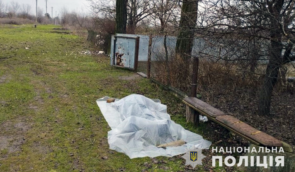 Окупанти вдарили по селу в Запорізькій області: внаслідок обстрілу загинула літня жінка