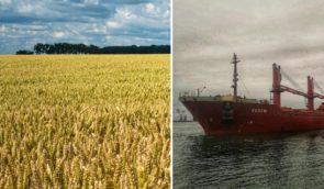 Експорт “зерновим коридором” скоротився через блокування суден Росією