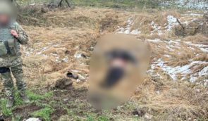 В Херсонской области мужчина подорвался на российской мине