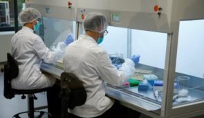 Пошук зниклих: як подати зразки ДНК до лабораторії в Гаазі і чим займається Міжнародна комісія з питань зниклих безвісти