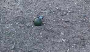 У Києві двоє людей знайшли гранати на вулиці