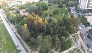 Громада Броварів відстояла понад 3 тисячі дерев, які хотів вирубати забудовник