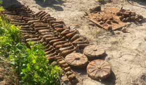 Житомирянка знайшла арсенал зброї часів Другої світової, копаючи картоплю