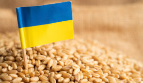 Після виходу із “зернової ініціативи” окупанти знищили 280 тисяч тонн українського зерна