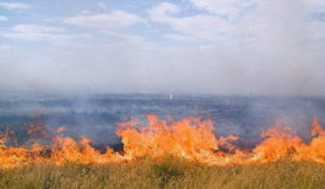 У заповіднику “Асканія Нова”, який захопили окупанти, горить близько 7 тисяч гектарів степу