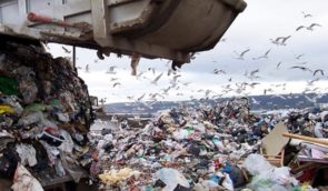 На Одещині кількість полігонів для сміття вже перевищила пів тисячі