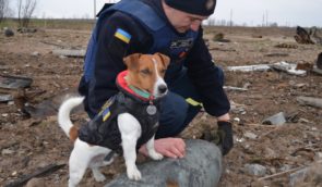 Сотні людей просять посадовців у Києві встановити пам’ятник псу Патрону замість Пушкіна
