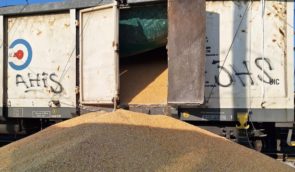 У Польщі невідомі висипали близько 180 тонн українського зерна з вагонів “Укрзалізниці”