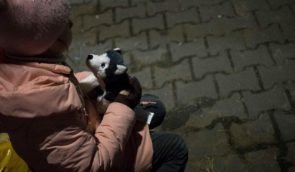 У России есть отдельные методические материалы для “перевоспитания” украинских детей – расследование