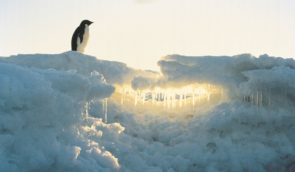 У кліматі Антарктиди відбувся “різкий критичний перехід” – дослідники
