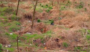 В окупованому Маріуполі знайшли нове стихійне поховання містян