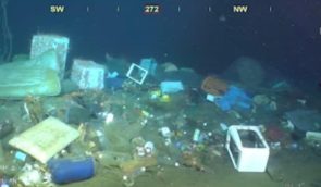 Вчені вважають, що на дні океану лежить від 3 до 11 мільйонів тонн пластикового сміття