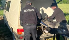У Тисі знайшли тіло 29 чоловіка, який незаконно намагався перетнути закритий кордон