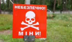 У Миколаївській області на протипіхотній міні підірвався чоловік